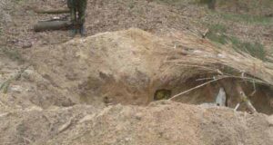 Вишкіл для новобранців Цивільного Корпусу полку “Азов” м.Нововолинська Вишкіл для новобранців Цивільного Корпусу полку "Азов" м.Нововолинська