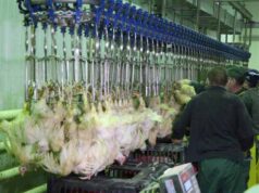 За все потрібно платити. За все потрібно платити.