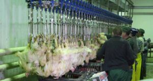 За все потрібно платити. За все потрібно платити.