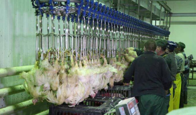 За все потрібно платити. За все потрібно платити.