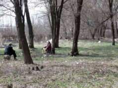 Хроніки недогорілого парку Хроніки недогорілого парку