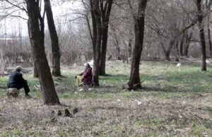 Хроніки недогорілого парку Хроніки недогорілого парку