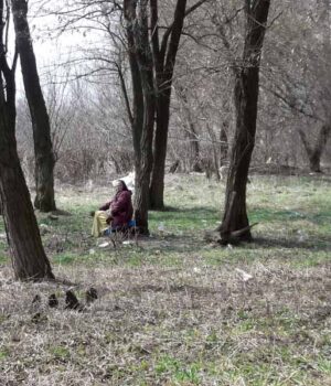 Хроніки недогорілого парку