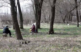 Хроніки недогорілого парку Хроніки недогорілого парку