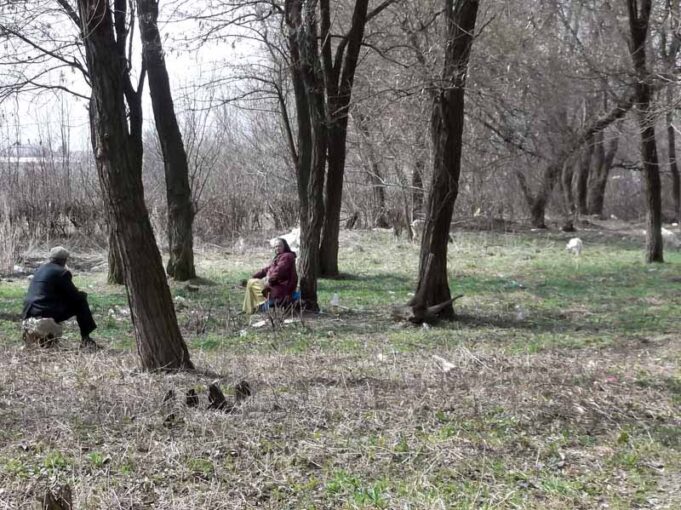 Хроніки недогорілого парку Хроніки недогорілого парку