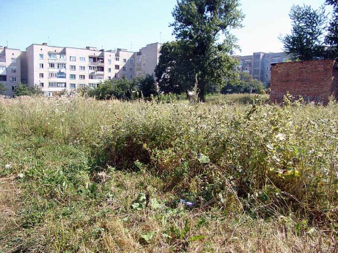 Місто заростає чагарниками! Благоустрій по-нововолинськи, частина друга. Місто заростає чагарниками! Благоустрій по-нововолинськи