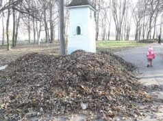 «Совково-комсомольська» толока? «Совково-комсомольська» толока?