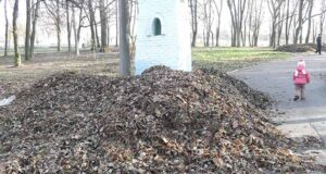 «Совково-комсомольська» толока? «Совково-комсомольська» толока?