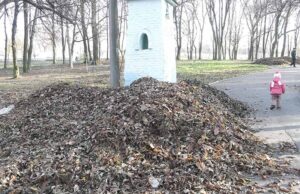 «Совково-комсомольська» толока? «Совково-комсомольська» толока?