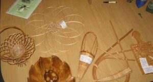 Підведені підсумки проекту «Зимова агрошкола» Підведені підсумки проекту «Зимова агрошкола»