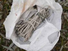 Плани шахтарів: мітинг у Києві, впливові політики і громадська організація (ФОТО, ВІДЕО) Плани шахтарів: мітинг у Києві