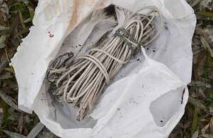 Плани шахтарів: мітинг у Києві, впливові політики і громадська організація (ФОТО, ВІДЕО) Плани шахтарів: мітинг у Києві