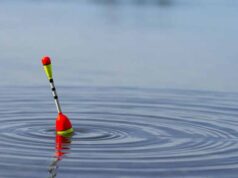 У суботу на міському озері пройдуть змагання із рибної ловлі серед аматорів У суботу на міському озері пройдуть змагання із рибної ловлі серед аматорів