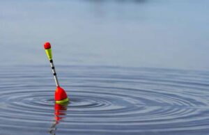 У суботу на міському озері пройдуть змагання із рибної ловлі серед аматорів У суботу на міському озері пройдуть змагання із рибної ловлі серед аматорів