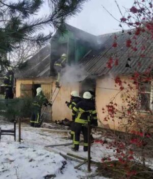 Пожежа в Будятичах: загинув власник