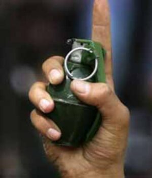 33_11 Гунчику не приносили гранату