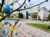 У понеділок, 17 квітня, о 15:00 на майдані Незалежності відбудеться святковий благодійний концерт У понеділок