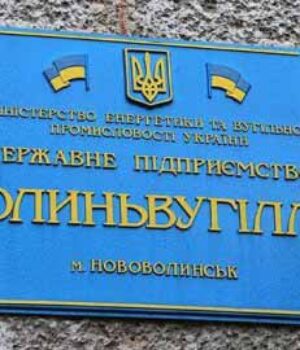 Савченко запропонував заборонити виїзд за кордон керівнику ДП «Волиньвугілля»
