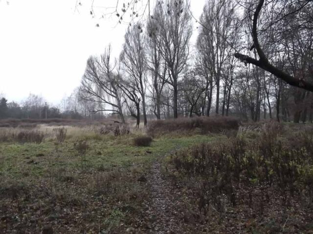 Що змінилось у “Козлячому парку”? Що змінилось у "Козлячому парку"?