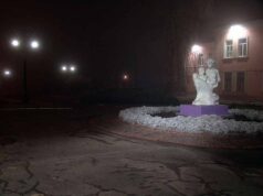 Нововолинська ЦМЛ зможе надавати допомогу у випадку захворювання на коронавірус, – Сторонський Нововолинська ЦМЛ зможе надавати допомогу у випадку захворювання на коронавірус