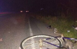 Велосипедистка потрапила в смертельне ДТП біля Старої Лішні Велосипедистка потрапила в смертельне ДТП біля Старої Лішні