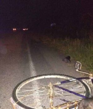 Велосипедистка потрапила в смертельне ДТП біля Старої Лішні