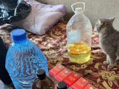 У Нововолинську та Благодатному муніципали “накрили” точки продажу спирту У-Нововолинську-та-Благодатному-муніципали-“накрили”-точки-продажу-спирту