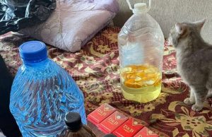 У Нововолинську та Благодатному муніципали “накрили” точки продажу спирту У-Нововолинську-та-Благодатному-муніципали-“накрили”-точки-продажу-спирту