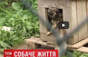 Кандидати в мери та партії, що боротимуться на виборах в місті: список Кандидати в мери та партії