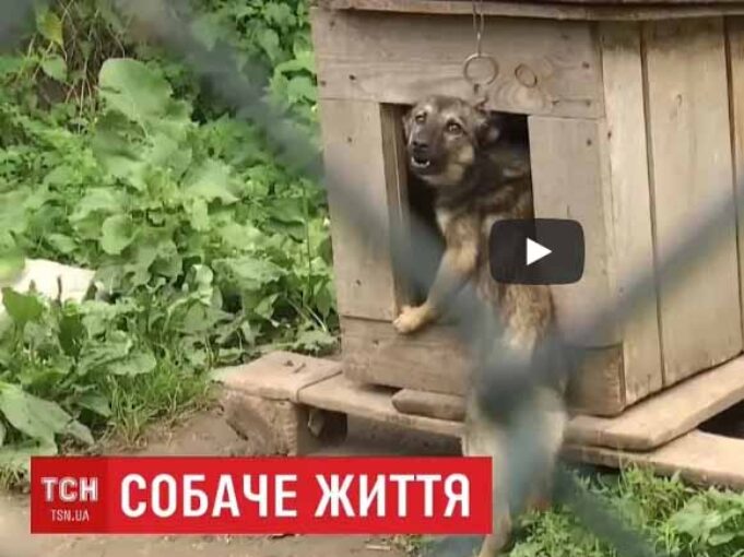 Кандидати в мери та партії, що боротимуться на виборах в місті: список Кандидати в мери та партії