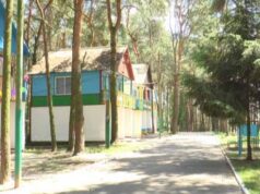 У нововолинському таборі “Прикордонник” отруїлися діти У нововолинському таборі "Прикордонник" отруїлися діти