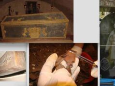 У Низкиницькому монастирі дослідили саркофаг полковника Миколая Киселя У Низкиницькому монастирі дослідили саркофаг полковника Миколая Киселя