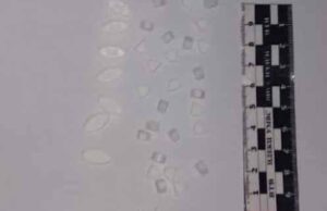 Жительку Нововолинська судитимуть за збут наркотичних засобів. ФОТО Жительку Нововолинська судитимуть за збут наркотичних засобів. ФОТО