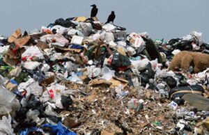 У Нововолинську пропонують запровадити роздільне сортування сміття У Нововолинську пропонують запровадити роздільне сортування сміття