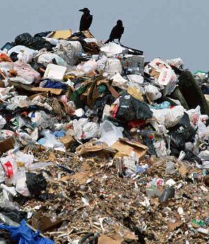 У Нововолинську пропонують запровадити роздільне сортування сміття