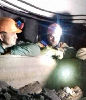 56_30 Гірника