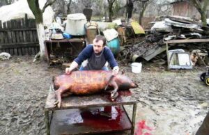 Холодні «постріли» громадськості Нововолинська Холодні «постріли» громадськості Нововолинська