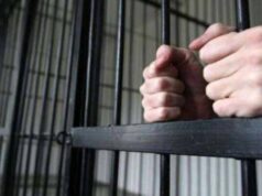 За вкрадені рибу та тістечка, а також за те, що вкусив за руку продавчиню, нововолинець... За вкрадені рибу та тістечка