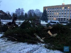 У Нововолинську обвалилася новорічна ялинка У Нововолинську обвалилася новорічна ялинка