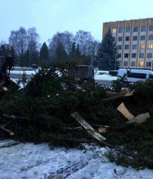 У Нововолинську обвалилася новорічна ялинка