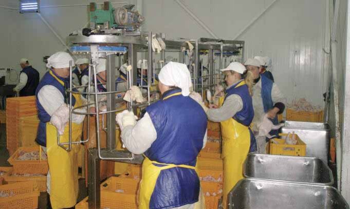 Керівництво “Губина” прокоментувало надважку працю на підприємстві Керівництво "Губина" прокоментувало надважку працю на підприємстві