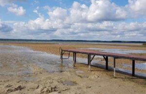 Світязь катастрофічно міліє! Підтримай петицію щодо порятунку озера! Світязь катастрофічно міліє! Підтримай петицію щодо порятунку озера!