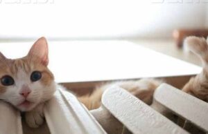 Коли у Нововолинську розпочнеться опалювальний сезон Коли у Нововолинську розпочнеться опалювальний сезон