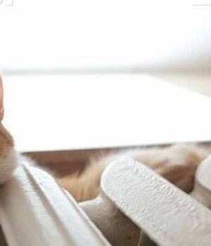 Коли у Нововолинську розпочнеться опалювальний сезон