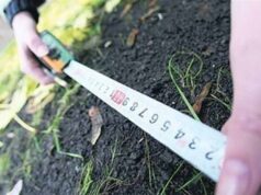 2 червня Нововолинська міська рада проведе земельні торги 2 червня Нововолинська міська рада проведе земельні торги