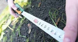 2 червня Нововолинська міська рада проведе земельні торги 2 червня Нововолинська міська рада проведе земельні торги