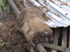 У Жовтневому п’яний водій зніс людський паркан У Жовтневому п'яний водій зніс людський паркан