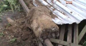 У Жовтневому п’яний водій зніс людський паркан У Жовтневому п'яний водій зніс людський паркан