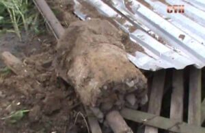 У Жовтневому п’яний водій зніс людський паркан У Жовтневому п'яний водій зніс людський паркан