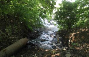 Чорна рідина і страшенний сморід: хто зливає відходи біля Нововолинська? Чорна рідина і страшенний сморід: хто зливає відходи біля Нововолинська?